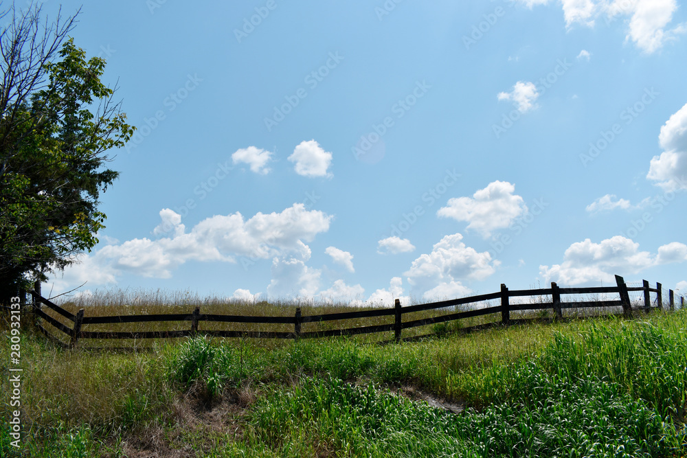 Rural Pasture with Fence