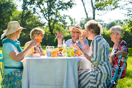 Senior friends having picnick with coffee and cake outdoors in sunshine.
