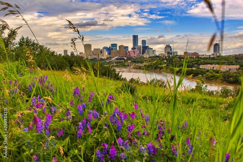 Fotografie Edmonton River Valley Summer
