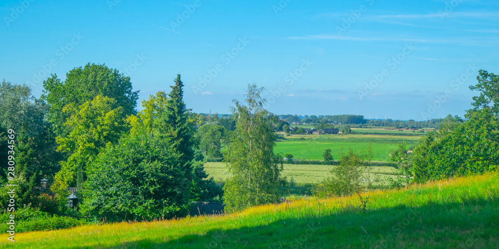 Obraz premium A Dutch polder landscape