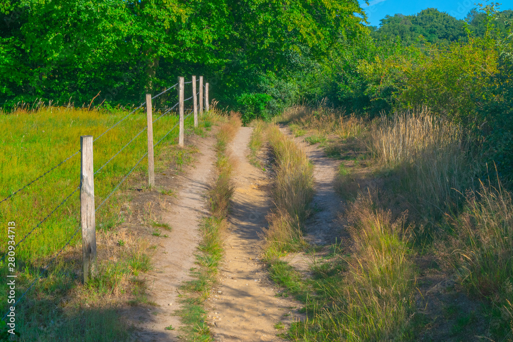 A path next to a Dutch meadow