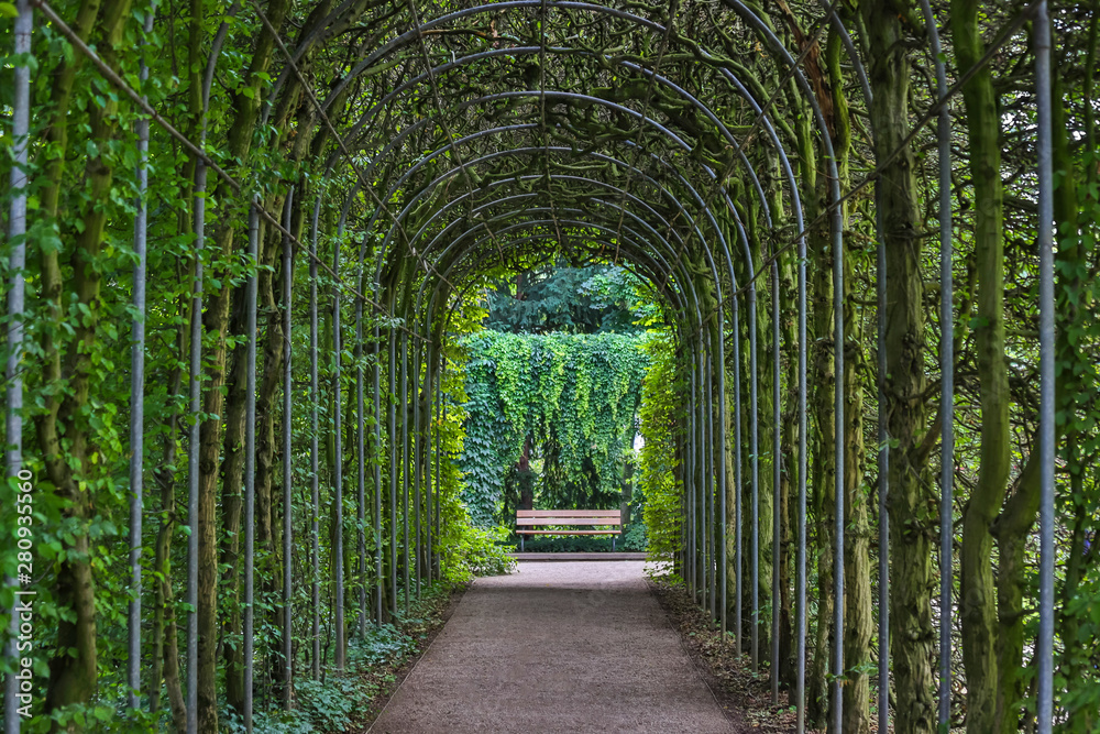Obraz premium garden plants tunnel background