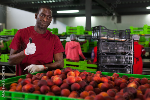 Worker at fruit warehouse