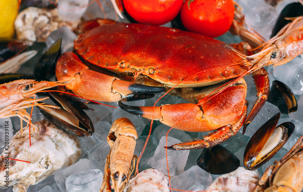 Seafood on ice. Crabs, sturgeon, shellfish, shrimp, Rapana, Dorado, on white ice. Seafood on ice. Crabs, sturgeon, shellfish, shrimp, Rapana, Dorado, on white ice.