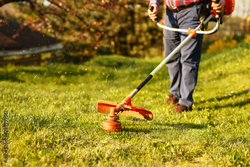 mowing trimmer - worker cutting grass in green yard at sunset. photo