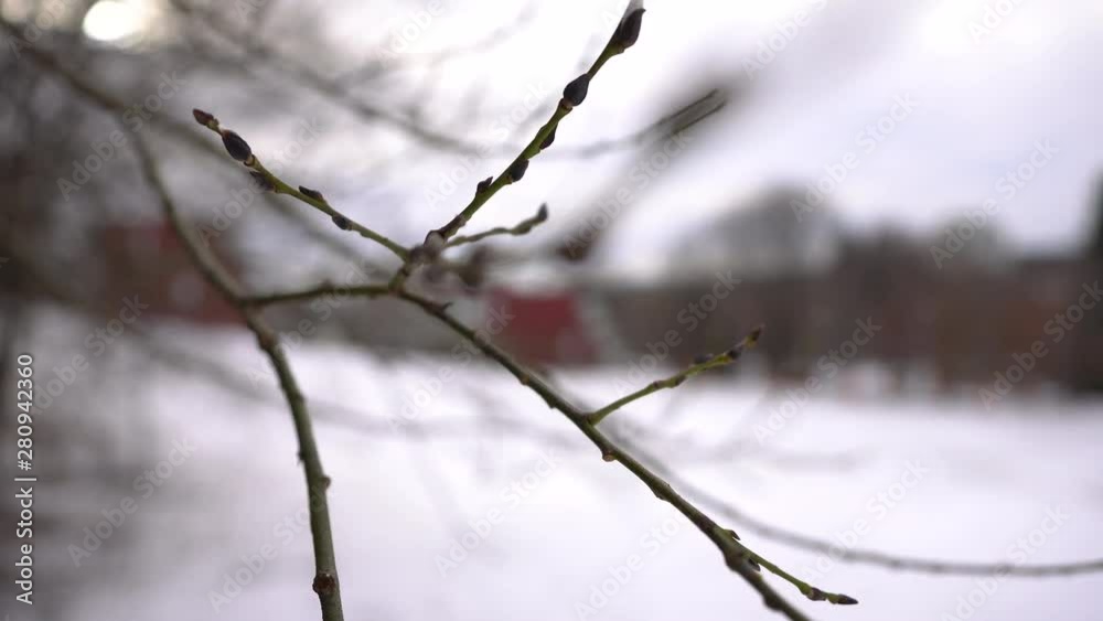 Winter landscape with tree branches on foreground and red roof building on background - rack follow focus Winter landscape with tree branches on foreground and red roof building on background - rack follow focus