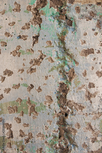 texture of old wall