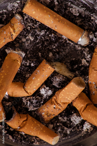 Cigar butts in ashtray