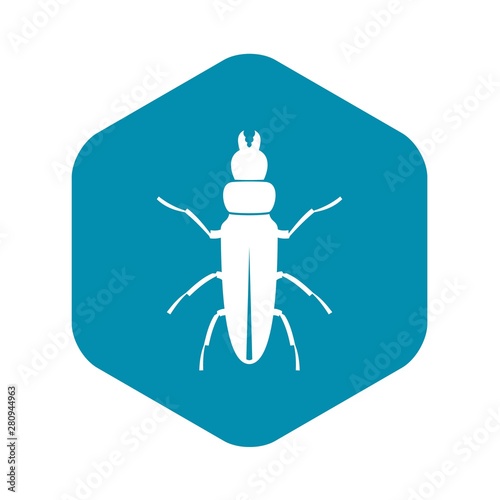 Beetle insect icon. Simple illustration of beetle insect vector icon for web