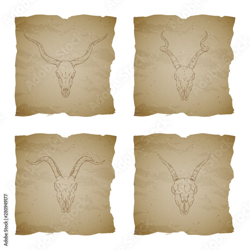 Vector set of four illustrations with hand drawn skulls antelope and goat on vintage torn edges background. Sketch in sepia color.