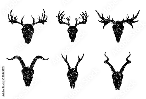 Vector set of six hand drawn skulls of horned animals: antelopes, deer and goat on white background.