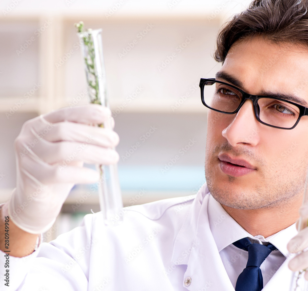 Biotechnology scientist chemist working in lab Biotechnology scientist chemist working in lab