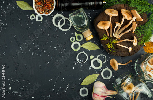 Fresh mushrooms with spices and herbs on black board. View from above. Copy space.