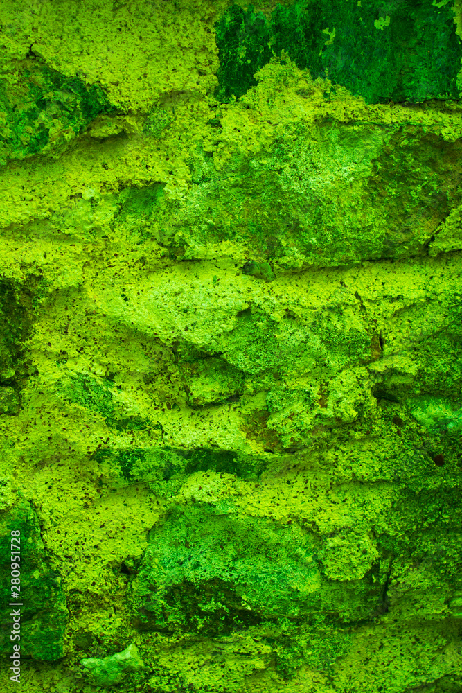 Wall-patterned backgrounds in various colors Wall-patterned backgrounds in various colors