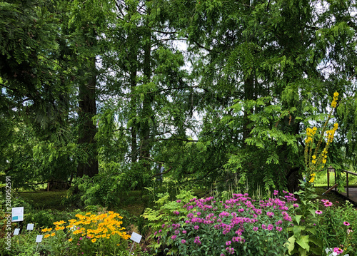 Herb Garden or Kräutergarten (Krautergarten oder Kraeutergarten), (Flower Island Mainau on the Lake Constance or Die Blumeninsel im Bodensee) - Constance, Germany or Konstanz, Deutschland photo