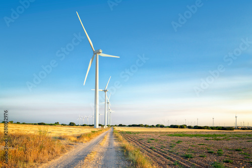 wind energy. wheat field and blue sky