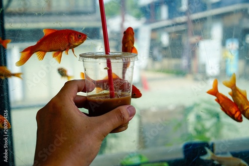 金魚の街　大和郡山　コーヒーと浮遊する金魚　Goldfish Town Yamatokoriyama Nara Floating Goldfish