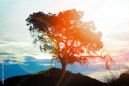 Foto beautiful nature by the sea against the background of Greece silhouette