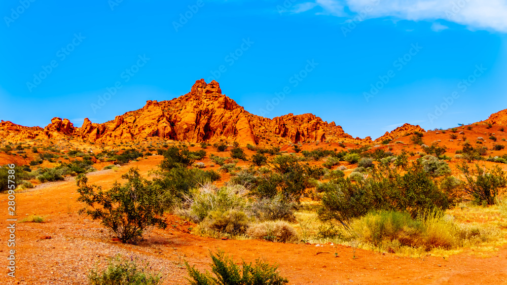 The bright red Aztec sandstone rock formations in the Valley of Fire State Park in Nevada, USA
