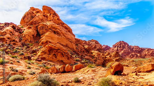 The bright red Aztec sandstone rock formations in the Valley of Fire State Park in Nevada  USA