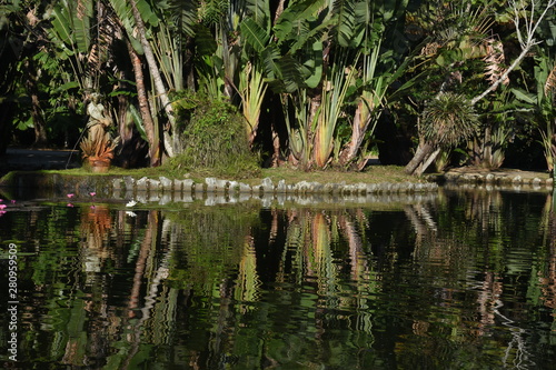 pond in park