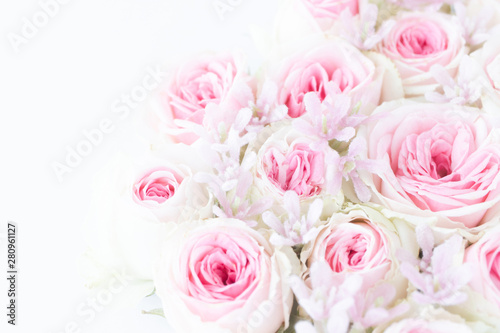 淡いピンクのバラ 背景素材