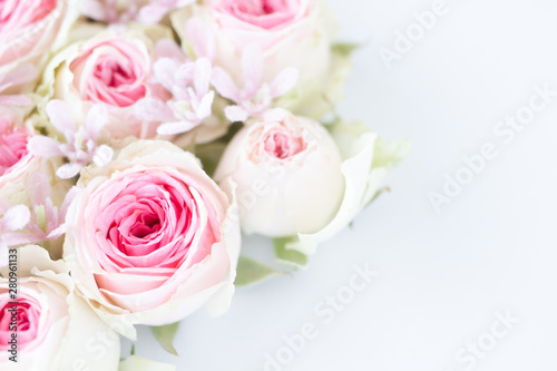 淡いピンクのバラ　背景素材 © shironagasukujira