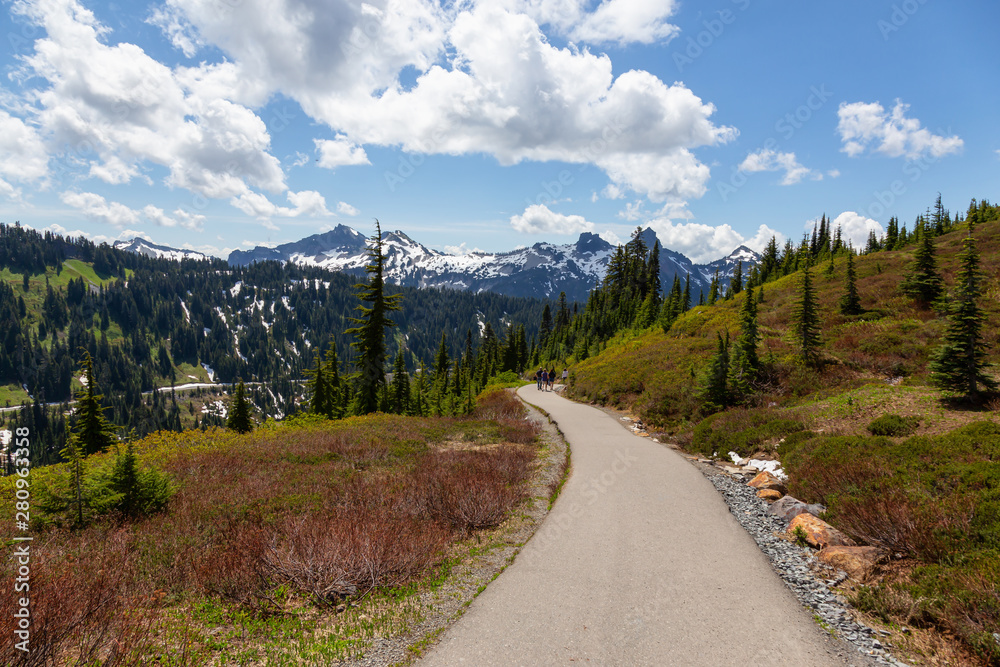 Beautiful view of a trail in Paradise during a sunny summer day. Taken in Mt Rainier National Park, Washington, United States of America.