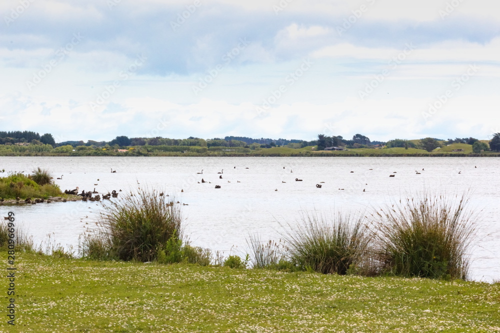 Lake Horowhenua, also known as Punahau, is located in the Horowhenua District, an area of the southern Manawatu-Wanganui region in New Zealand's North Island.