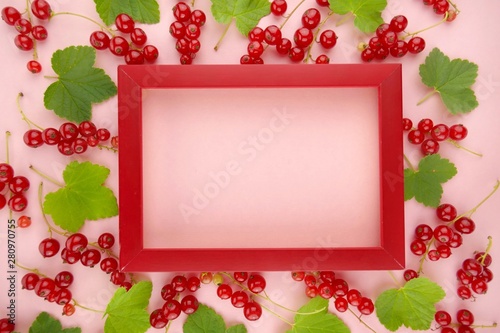 Red Currant berry. Berry frame. currant berries and green leaves on a pink background.top view, copy space.Summer berries