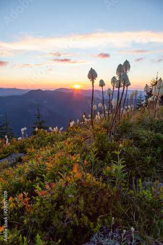 Fototapeta Naklejka Na Ścianę i Meble -  Beautiful View of American Mountain Landscape during a vibrant and colorful summer sunset. Taken from Sun Top Lookout, in Mt Rainier National Park, South of Seattle, Washington, USA.