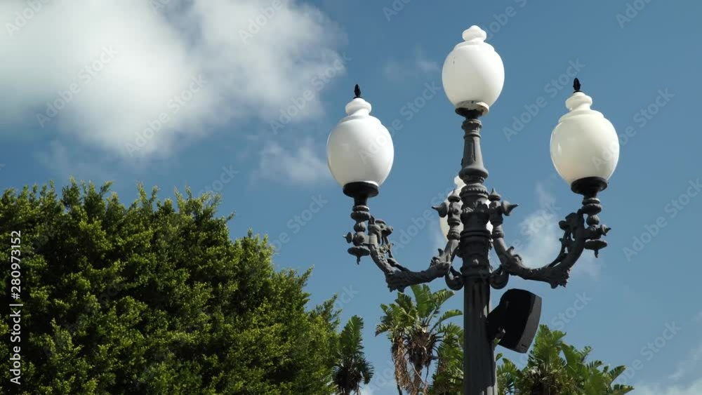 Streetlamp in daylight with some trees and palms at the bottom Streetlamp in daylight with some trees and palms at the bottom