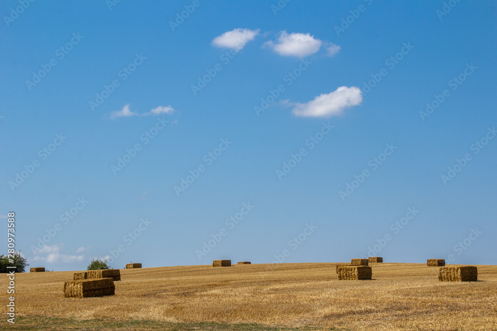 Getreideernte in wunderschöner Landschaft