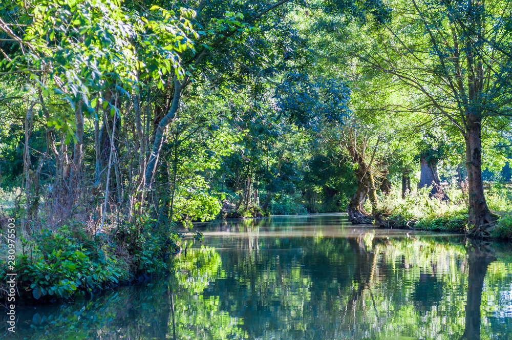 Fototapeta premium Marais Poitevin, Charente-Maritime, France.