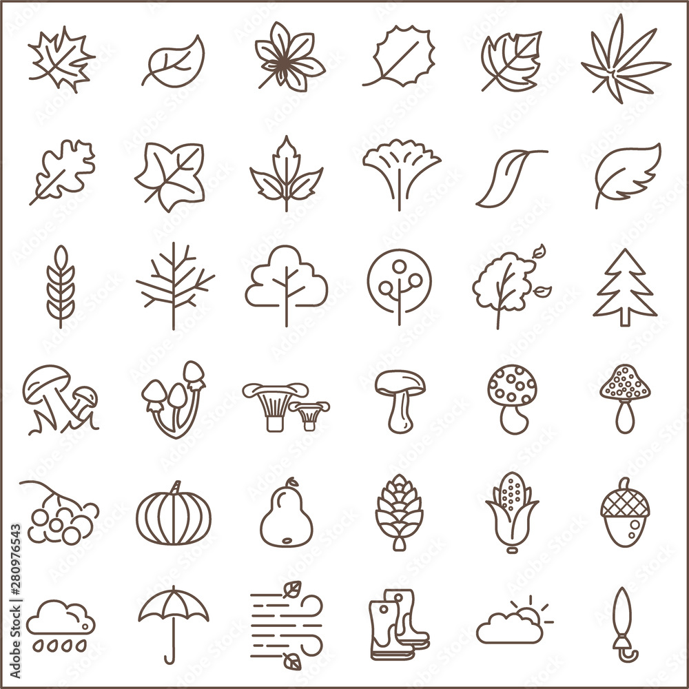 Fototapeta premium Set of autumn and leaf Icons line style. Included the icons as foliage, tree, plant, wood, mushroom And Other Elements. customize color, easy resize.