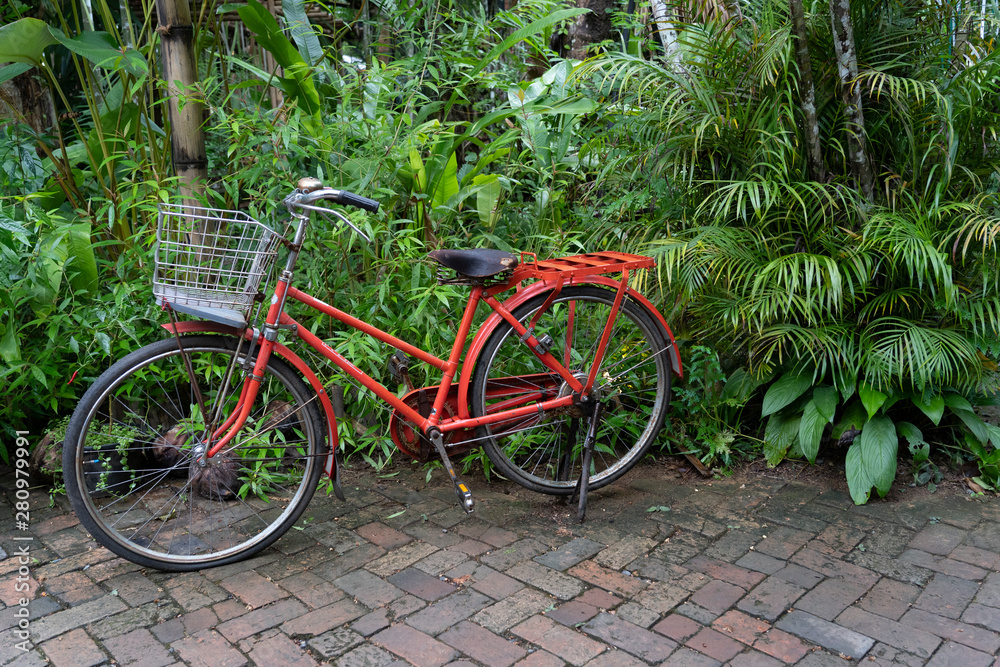 Old red bicycle in garden