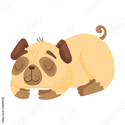 Sleeping pug. Vector illustration on white background.