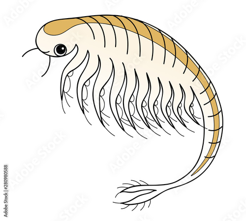 アルテミア シーモンキー ホウネンエビ キャラクター イラスト Stock イラスト Adobe Stock アルテミア シーモンキー ホウネンエビ キャラクター イラスト Stock イラスト Adobe Stock