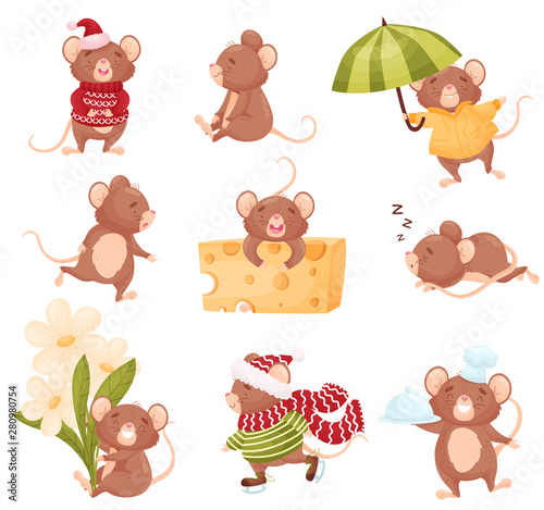 Set of images of cute mice. Vector illustration on white background.