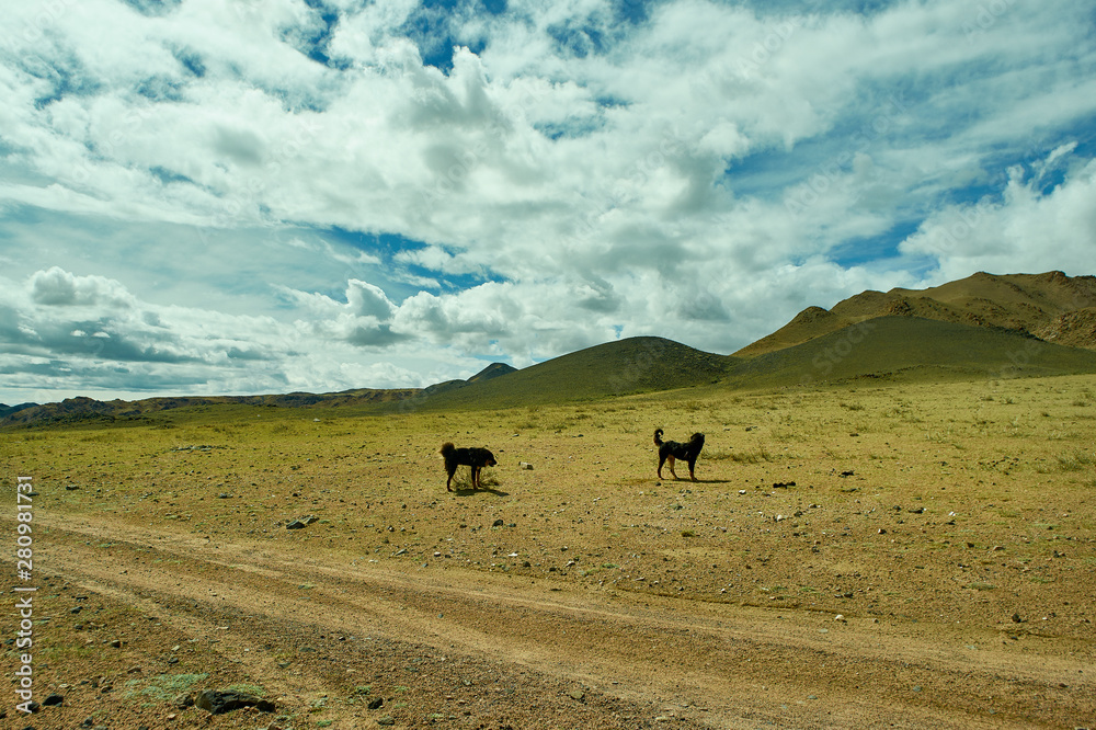 Mountain plateau in the area Zavkhan River Mountain plateau in the area Zavkhan River