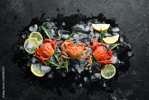 Crabs with lemon on ice. Top view. Free space for your text.