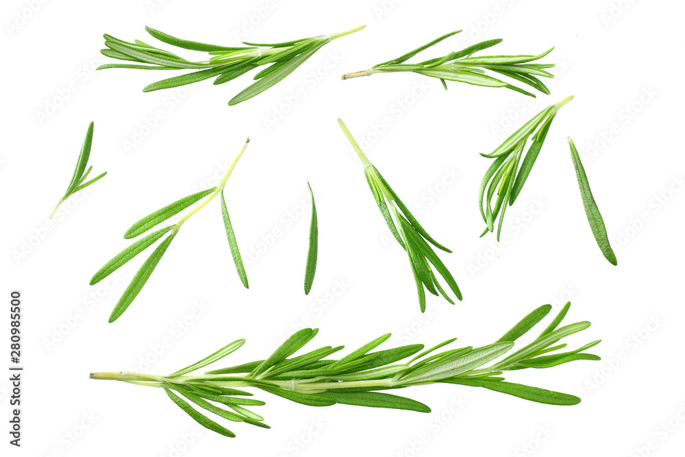 Obraz premium rosemary leaves isolated on white background. top view