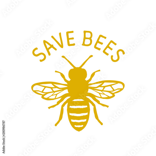 Save Bees Design.