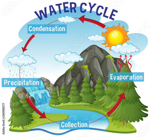 Water cycle process on Earth - Scientific