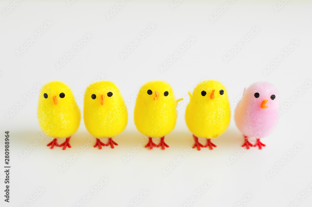 Four yellow baby chicken toys and one of pink color standing in line on white background. Diversity concept. Easter decoration