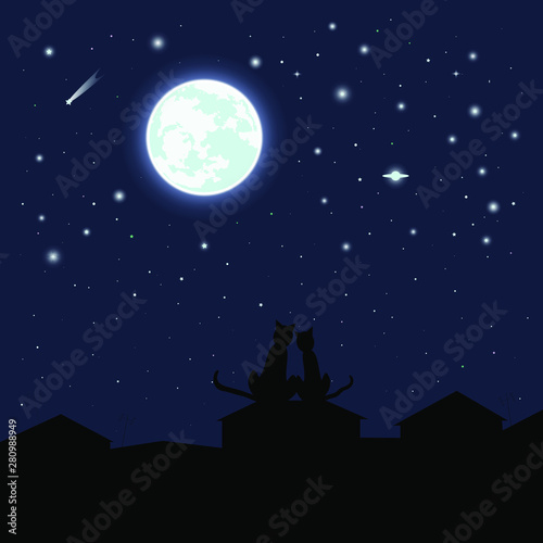 vector full moon. glowing halo. comets and planets. starry sky. roofs of houses. cat on the roof. can be used as a background  postcard  pattern on clothes  scrapbooking  book illustration