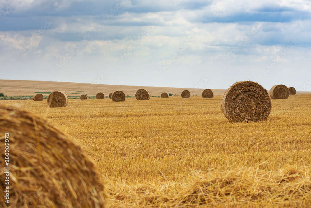 Harvested Field With Sheaves Landscape