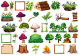 set of different nature objects