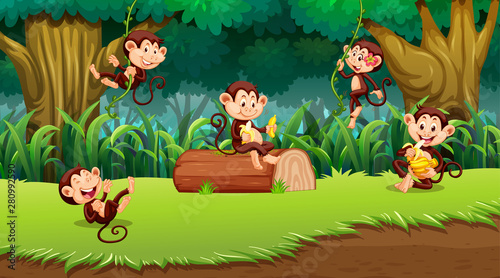 Monkey in jungle scene