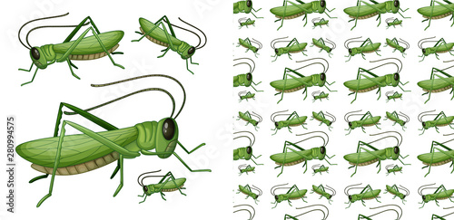 Seamless and isolated animal pattern cartoon